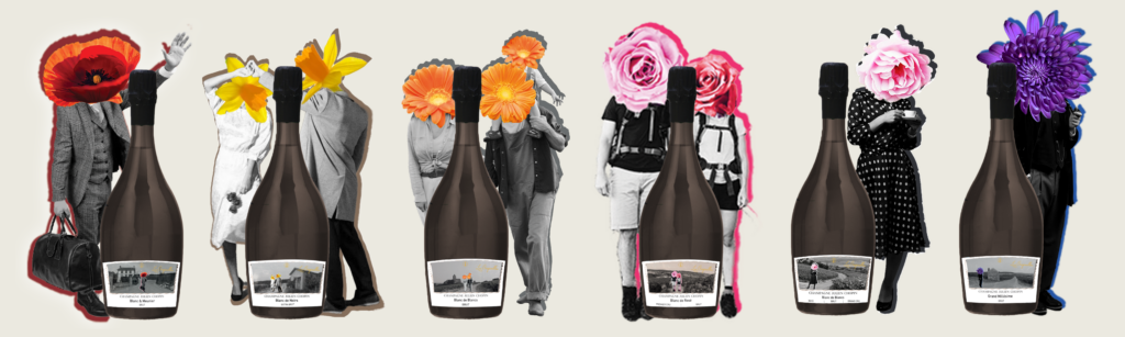 cuvées originelles du Domaine Julien Chopin 